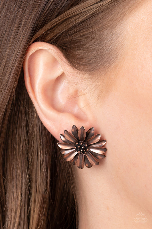Daisy Dilemma - Copper Earrings